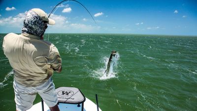 Support fishing for Bass