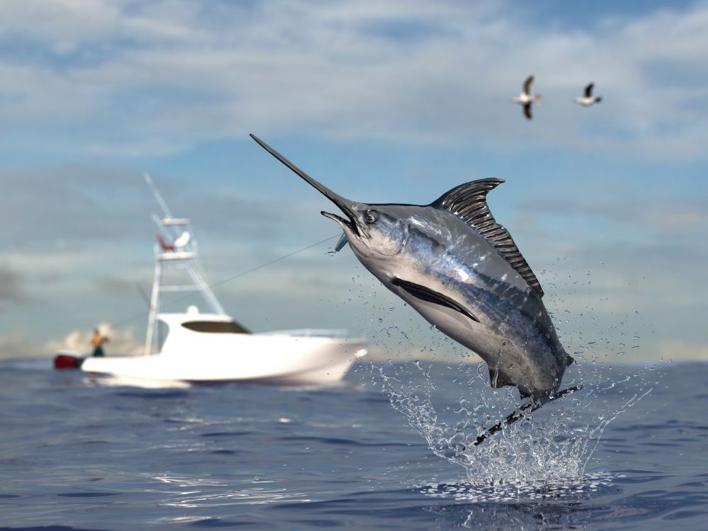 The Swordfish