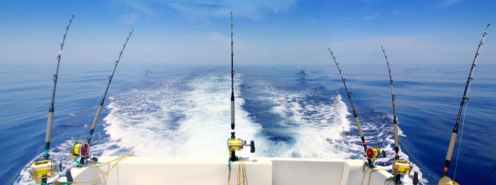 Tips on material for support fishing for sea bream