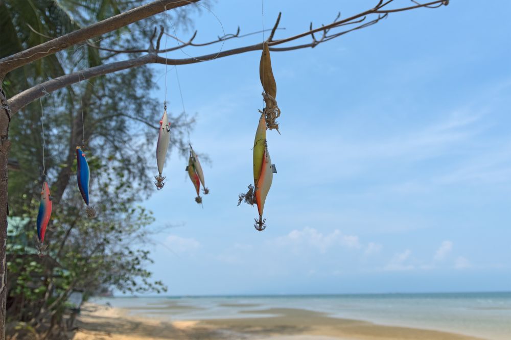 How to choose jig for squid fishing?