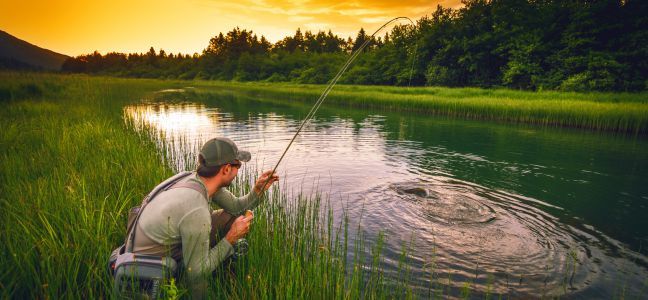 Toc fishing
