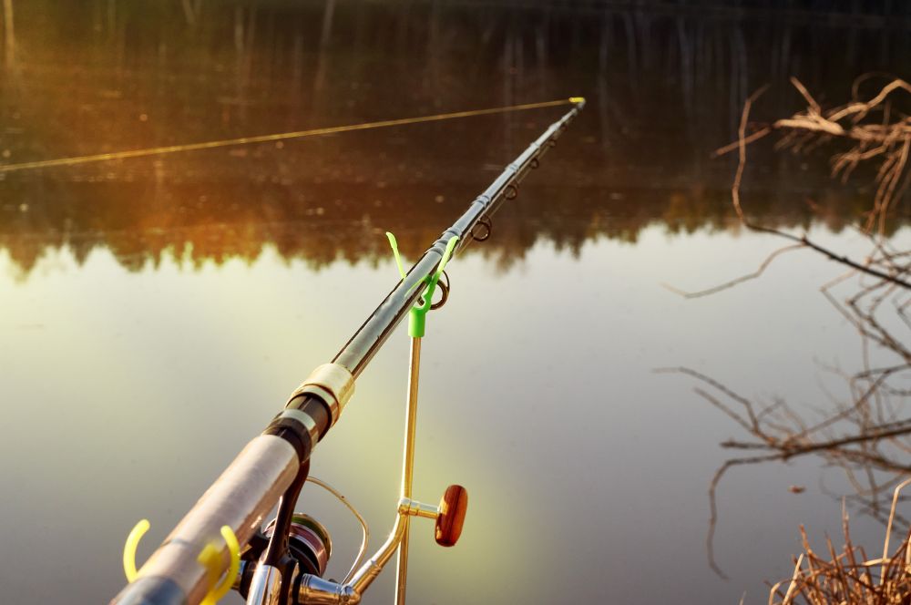 Pole feeder fishing